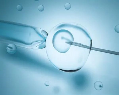 备孕期间应该注意些什么?