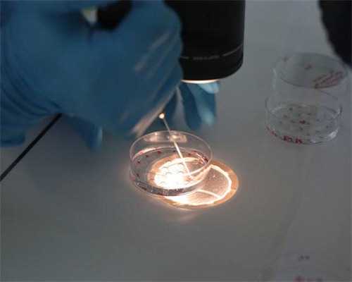 备孕需要注意哪些?_怀孕打孩子用什么药,备孕三个月了还没有怀上，怎样备孕比