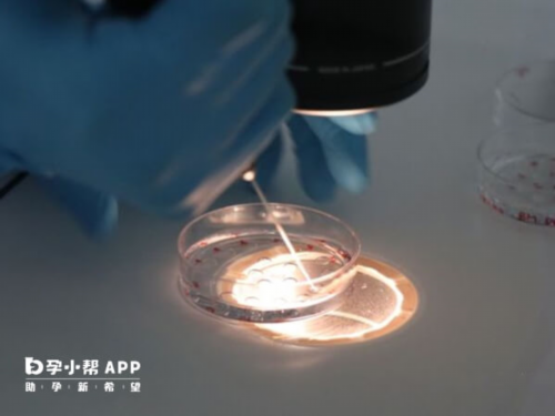 怀孕多久可以流产_备孕前检查6大项,2026佛山妇幼保健院试管婴儿成功率一览，