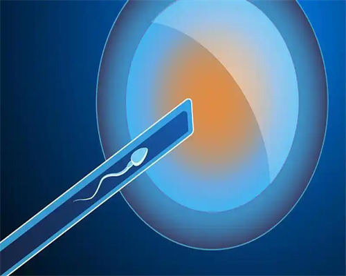 泰国试管胚胎质量怎么样-代生宝宝机构