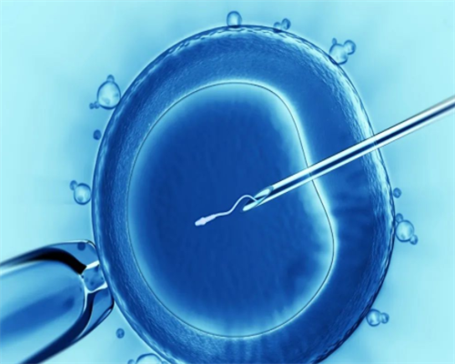 南京鼓楼医院试管婴儿怎么挂号 南京妇幼保健院供精试管婴儿成功率 ‘怀男宝