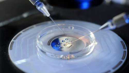 南宁市哪个医院做试管成功率高 南宁第三代试管婴儿技术性有安全保障吗? ‘如