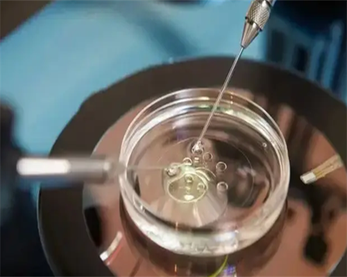 第三代泰国试管移植程序-正规医院供卵