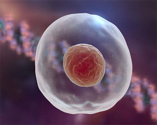 北京供卵试管需要多少钱 2026年北京大学第一医院做试管生龙凤胎费用需要多少