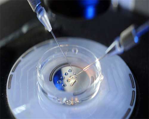 育儿知识分享_备孕需要检查什么,节食减肥真的会导致不孕不育吗？可是我小基