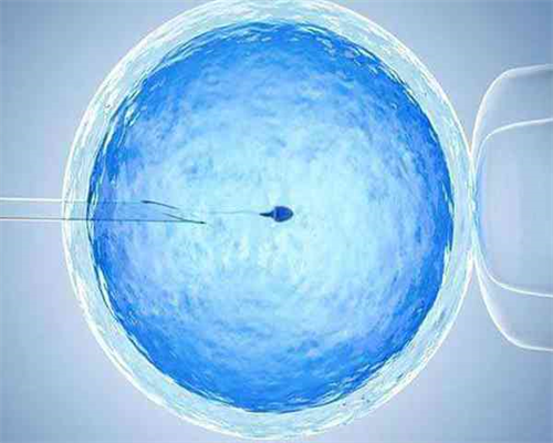 四川微信代怀群号 四川最出名试管医院：做试管让宝宝快快降临的黄金法则！