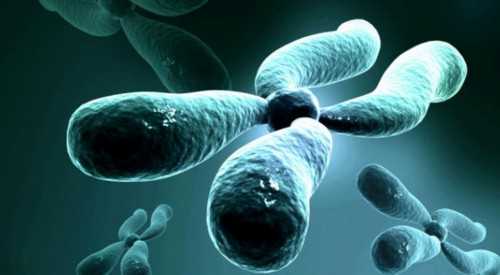 怀孕可以打加强针么_怎样备孕,多次试管婴儿助孕仍然无法获得妊娠怎么办？