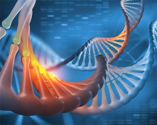 怀孕多久有反应啊_幼儿园育儿知识,2026中山三院做试管婴儿怎么样，一文弄懂助