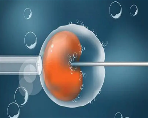 莆田代孕公司,有代孕的吗多少钱
