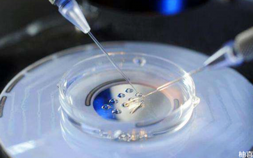 育儿嫂中介公司_育儿小知识每日分享,女性不孕不育的四大症状-医生：若有此类