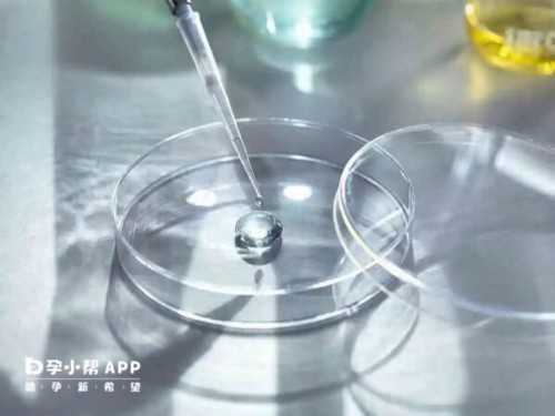 2026年国内允许借卵*子吗？