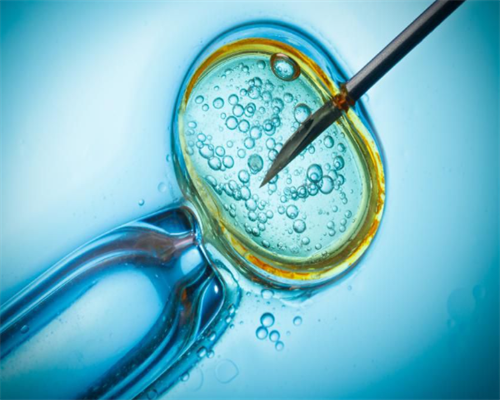 上海试管做龙凤胎费用 2026上海市一医院试管婴儿医生推荐 ‘胎儿做四维生长指