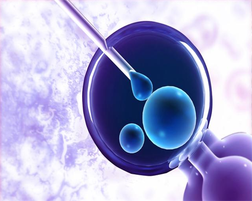 宁波试管婴儿费用,宁波供卵试管费用多少钱