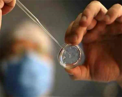 去美国做试管双胞胎要多少钱，美国试管婴儿双胞胎的好处和风险解读-代生公司服务