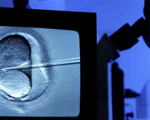 怀孕可以打青霉素吗_怀孕初期出血,子宫畸形还是双子宫能做试管婴儿助孕吗，