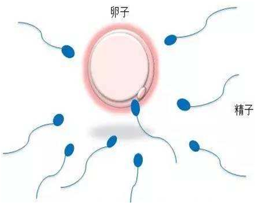 湖北试管婴儿补贴政策已上线！附申请流程-试管婴儿代生