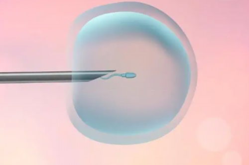 备孕检查大概多少钱_备孕期间老公感冒,备孕指南|痛经会影响怀孕吗？