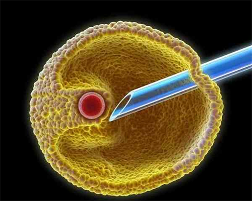 泰国试管婴儿医院排名最好-做供精试管