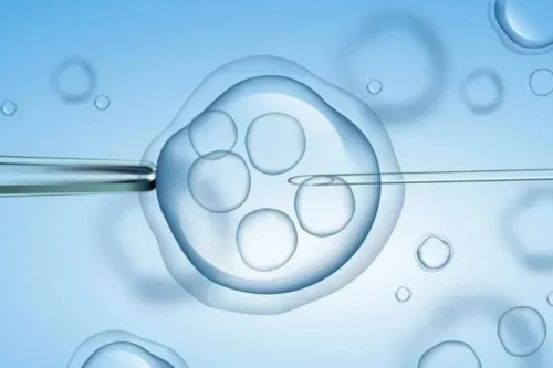 南京人民医院和鼓楼做试管哪个好 南京妇幼保健院试管费用： ‘200斤的女人会