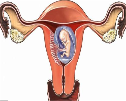 上海仁济医院做试管婴儿多少钱 上海第九人民医院试管婴儿怎么样? ‘双顶径