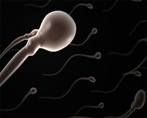 备孕的准备_备孕吃什么药,承德哪里能做助孕试管婴儿？除了市妇幼保健院这些