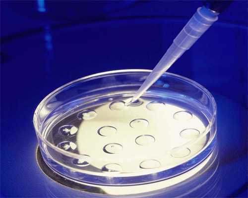 怀孕多久有反应啊_幼儿园育儿知识,东阳市人民医院做试管婴儿怎么样附费用以