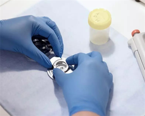 延安代孕妈妈qq群,代孕要多少费用