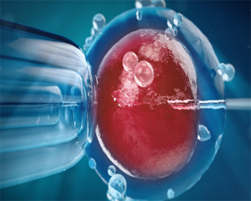杭州试管婴儿医院排名 影响杭州试管婴儿费用的因素 ‘怀孕两个月孕囊2.6x2.