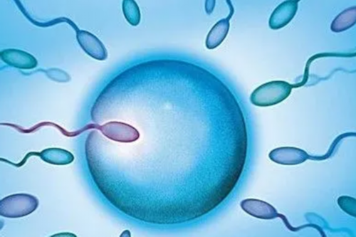 怀孕打孩子用什么药_怀孕几周可以同房,五种怪味食物，备孕助孕有一套！