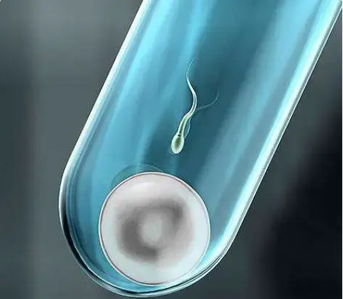 莆田个人代孕的价位,找人代孕