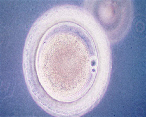 挑选台州试管婴儿医院方法,台州试管成功率排名（台州做试管最好的医院排名