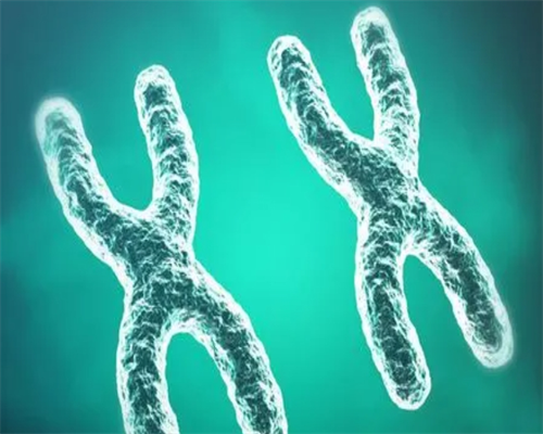 _上海代孕价格-代怀网品牌