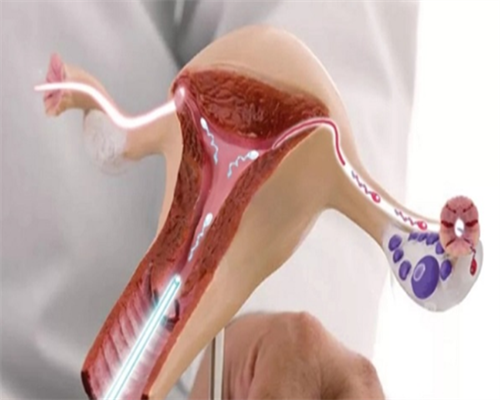 2026年试管婴儿河南新政策 为什么河南第三代试管可以解决基因缺陷问题? ‘怀