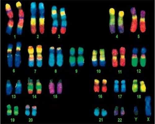 香港卵细胞冷冻：香港卵细胞冷冻比较好的医院