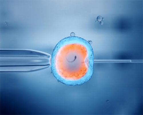 怀孕_怀孕多久可以做人流,黑龙江2026年试管医院排名最好的有哪几家，11家共有