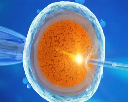 二级胚胎是优质胚胎吗？试管胚胎二级怎么样？-代生宝宝机构