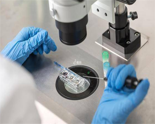 男性备孕 男人备孕要多吃什么食物