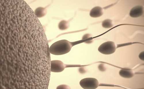 马来西亚做试管婴儿要结婚证吗？试管婴儿准备证件-代生咨询服务