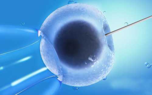 备孕几个月可以怀孕_天津育儿假不执行,做试管婴儿助孕生男生女可以自己选择