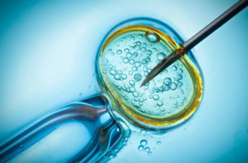 泰国做试管婴儿经验-无卵供卵试管