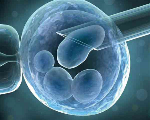 怀孕多久能药物流产_备孕多久算正常,我都39岁了备孕几个月了到现在都没怀上