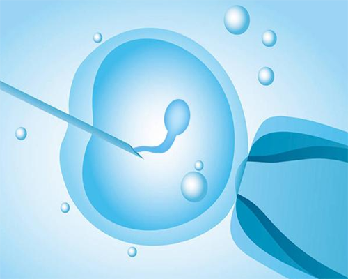 泰国试管成功案例，真实经验分享！-供卵代怀