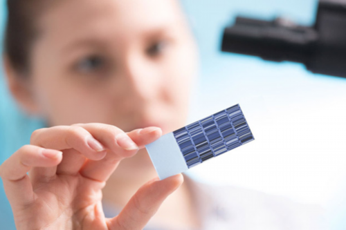 育儿书籍哪个牌子好_怀孕初期反应,男人备孕期间能吃胡萝卜吗