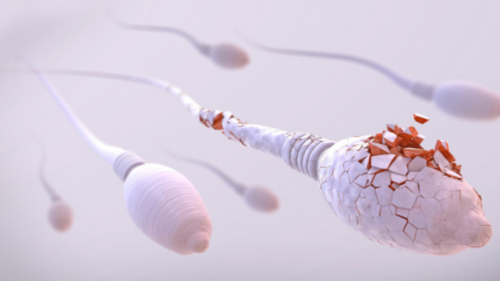 柳州市妇幼第三代试管婴儿 柳州市人民医院试管婴儿成功率 ‘能否从孕囊的大