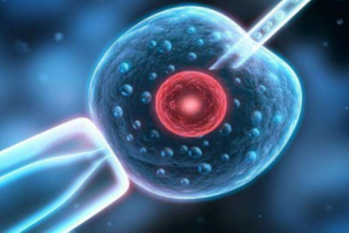 香港最著名三代试管哪家医院(香港做第三代试管婴儿)-三代试管助孕