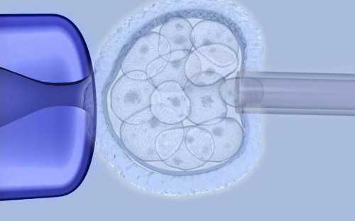 上海集爱哪个医生做试管比较好 上海第九人民医院试管婴儿成功率 ‘酒精加晨