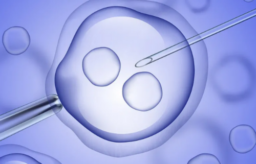 天涯泰国试管婴儿-正规捐卵机构