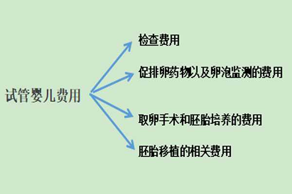 助孕付费方式_哪里去做助孕较好_2021年在广州做试管婴儿费用大约多少？花费明