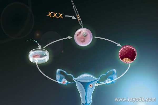 助孕哪个医生最好_怎么联系助孕_美国试管婴儿胚胎基因检测的常见问题